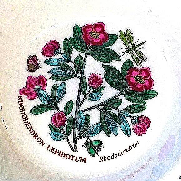BOTANIC GARDEN BY PORTMEIRION RHODODENDRON CEREAL OATMEAL BOWL NEW - Picture 2 of 7
